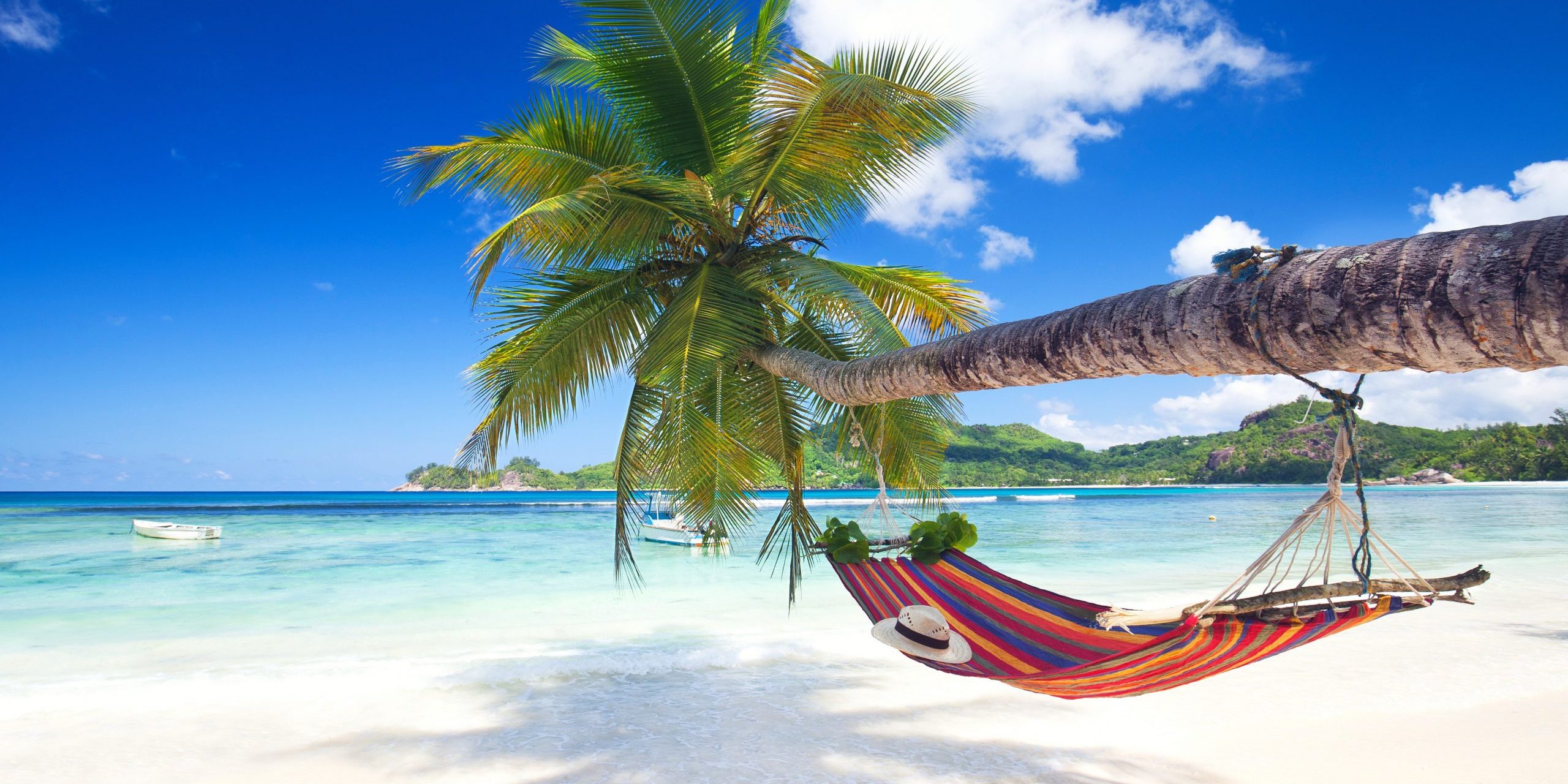 Perfect tropical paradise beach of seychelles island with palm trees and hammock